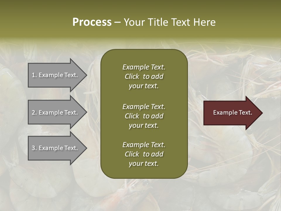 Shellfish Animals Raw PowerPoint Template
