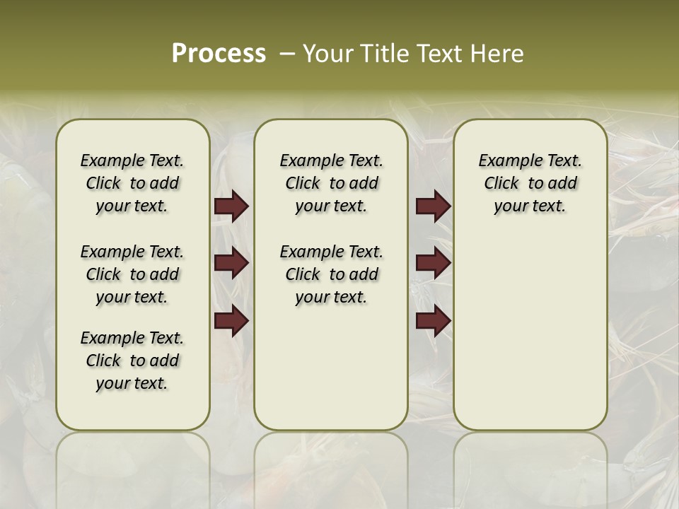 Shellfish Animals Raw PowerPoint Template