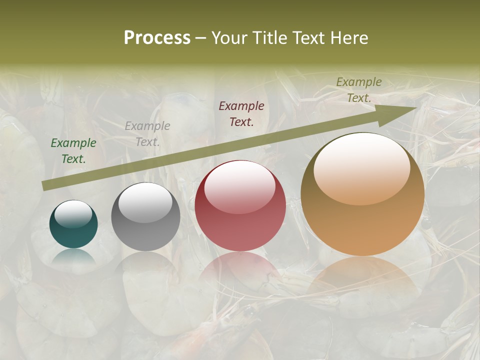 Shellfish Animals Raw PowerPoint Template