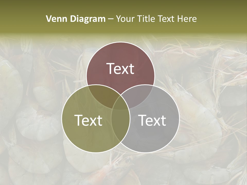 Shellfish Animals Raw PowerPoint Template