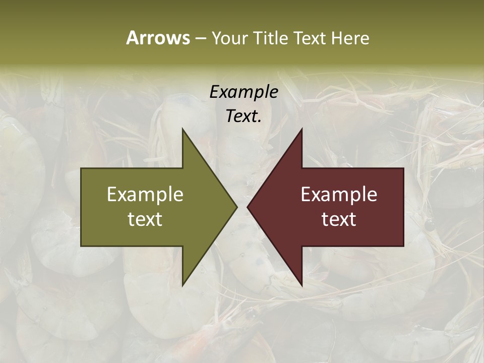 Shellfish Animals Raw PowerPoint Template