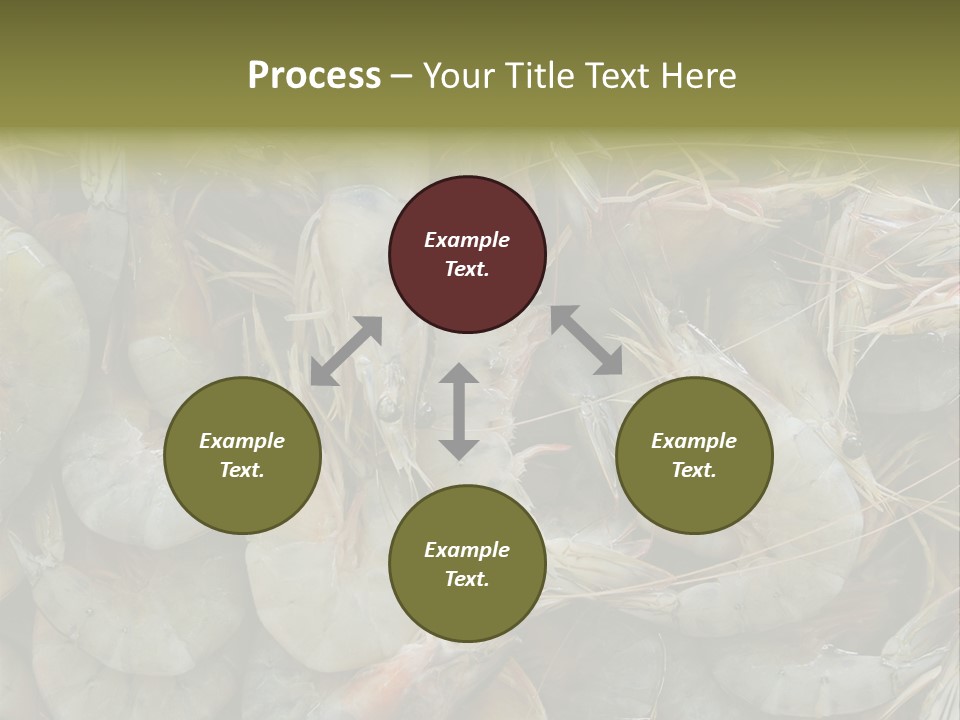 Shellfish Animals Raw PowerPoint Template