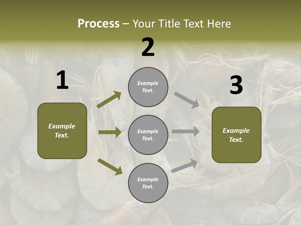 Shellfish Animals Raw PowerPoint Template