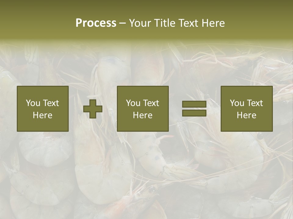Shellfish Animals Raw PowerPoint Template