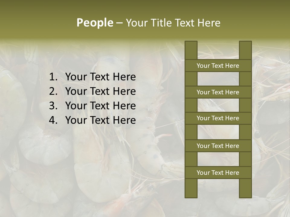 Shellfish Animals Raw PowerPoint Template