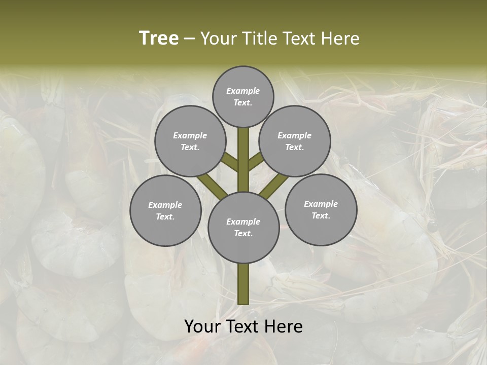 Shellfish Animals Raw PowerPoint Template