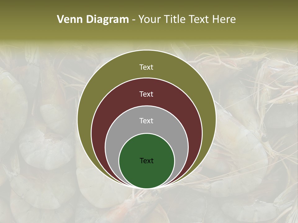 Shellfish Animals Raw PowerPoint Template