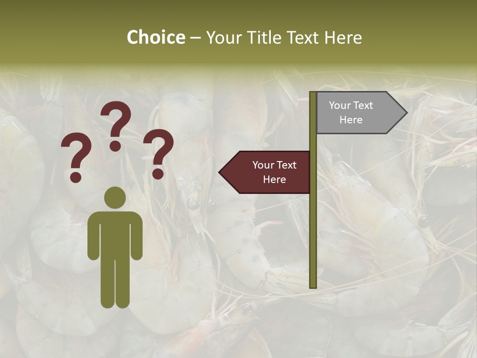 Shellfish Animals Raw PowerPoint Template