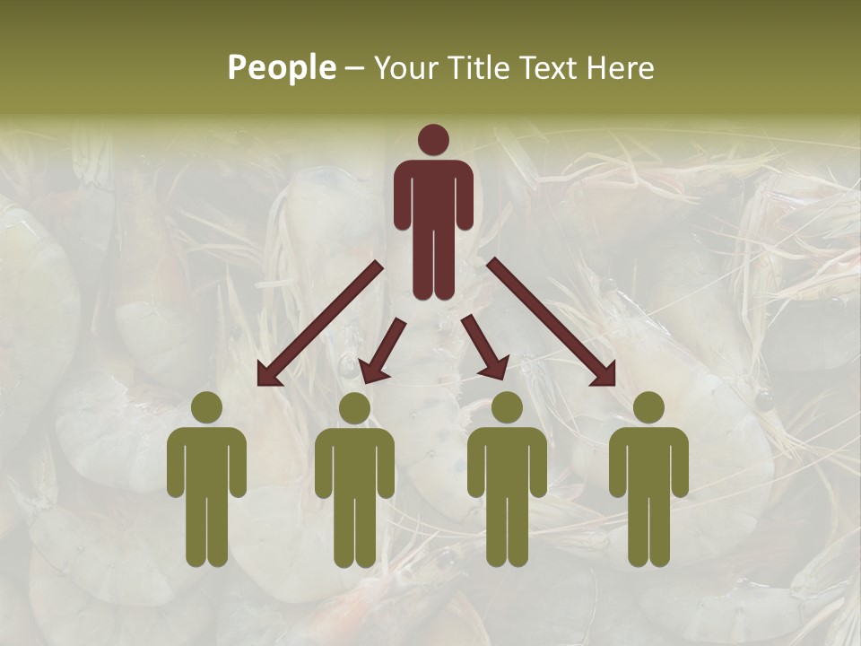 Shellfish Animals Raw PowerPoint Template