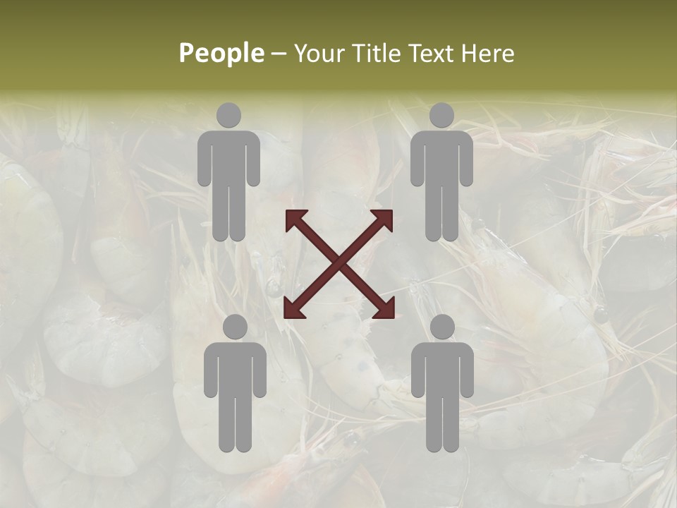 Shellfish Animals Raw PowerPoint Template