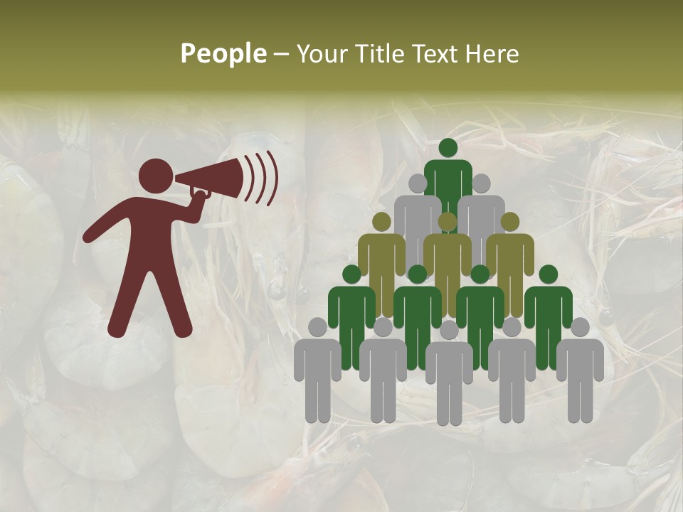 Shellfish Animals Raw PowerPoint Template