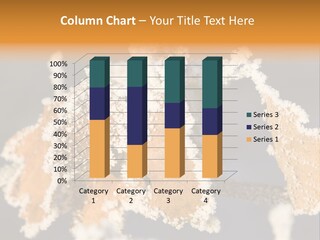 Rime White Frost PowerPoint Template