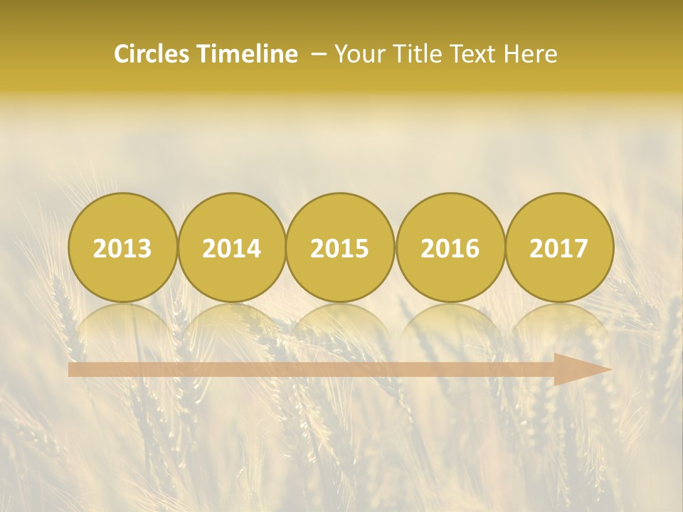 Farm Harvest Breads PowerPoint Template