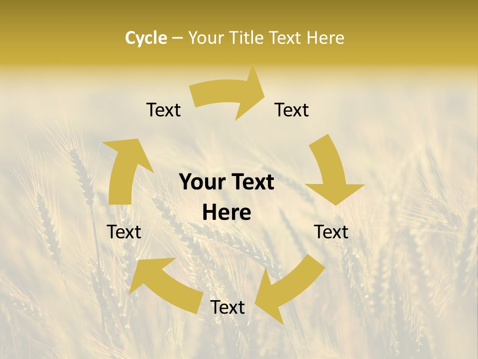 Farm Harvest Breads PowerPoint Template