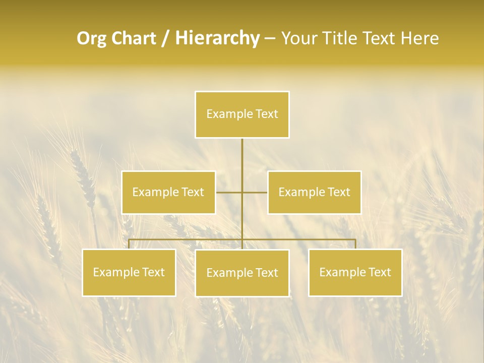 Farm Harvest Breads PowerPoint Template