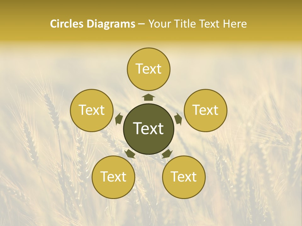 Farm Harvest Breads PowerPoint Template