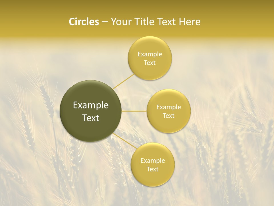 Farm Harvest Breads PowerPoint Template