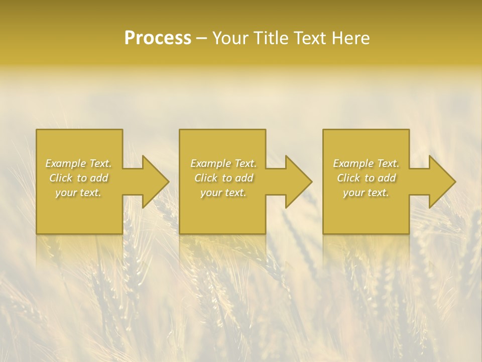 Farm Harvest Breads PowerPoint Template