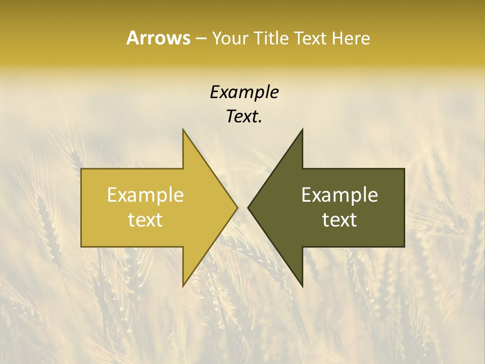 Farm Harvest Breads PowerPoint Template