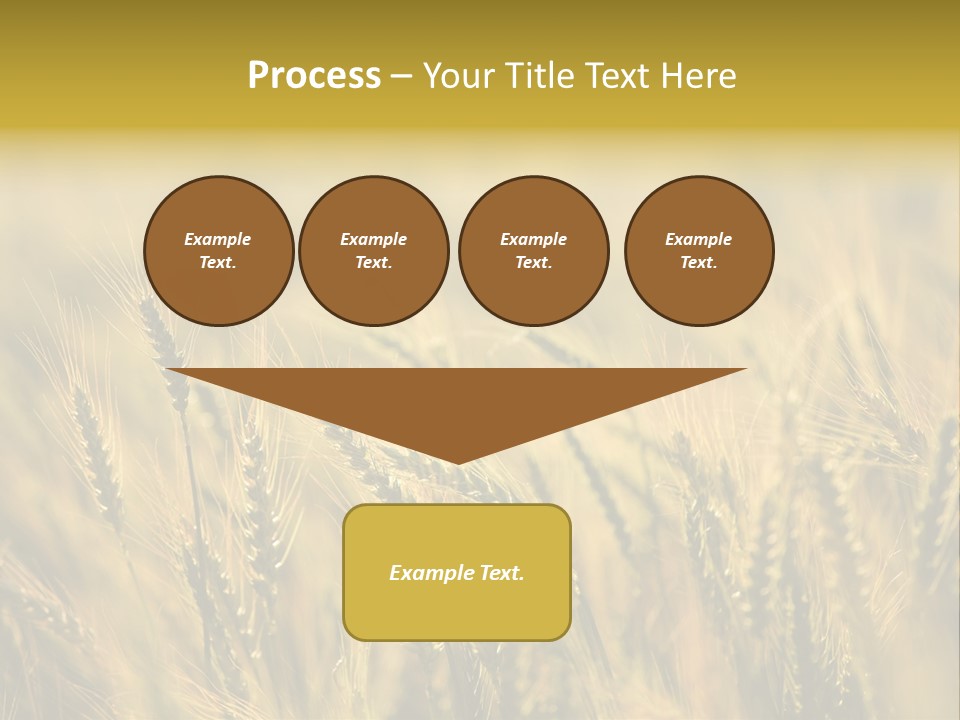 Farm Harvest Breads PowerPoint Template