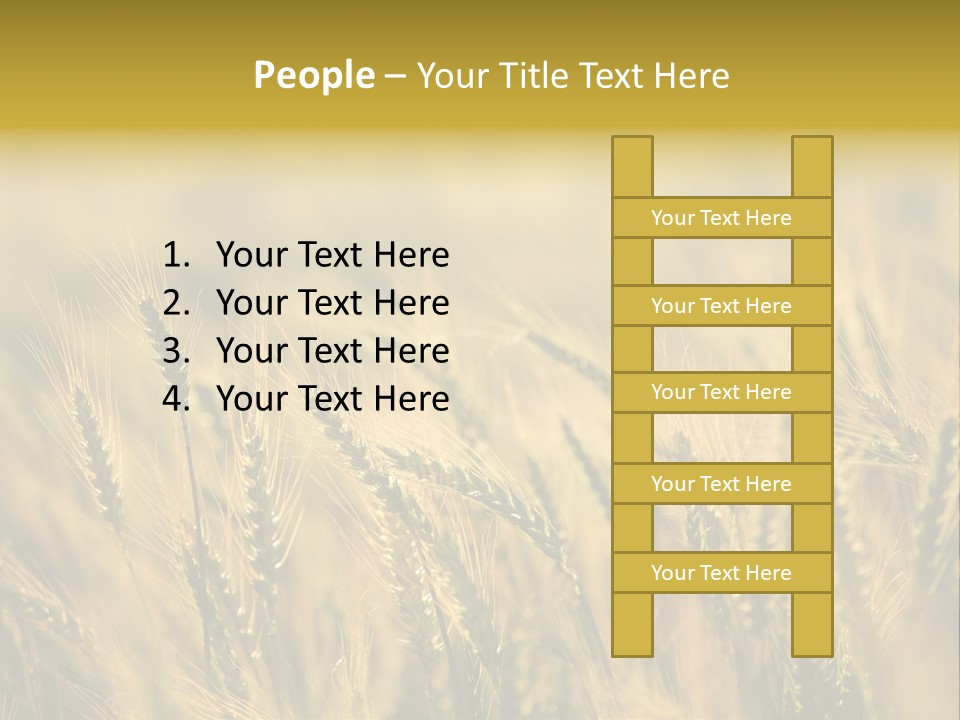 Farm Harvest Breads PowerPoint Template