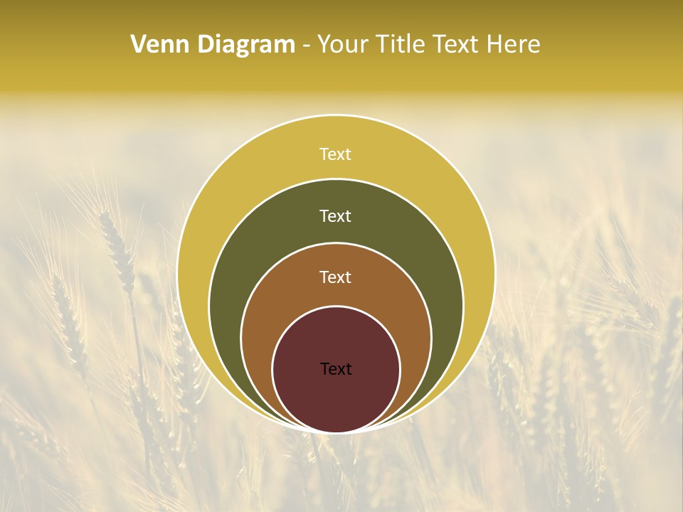 Farm Harvest Breads PowerPoint Template