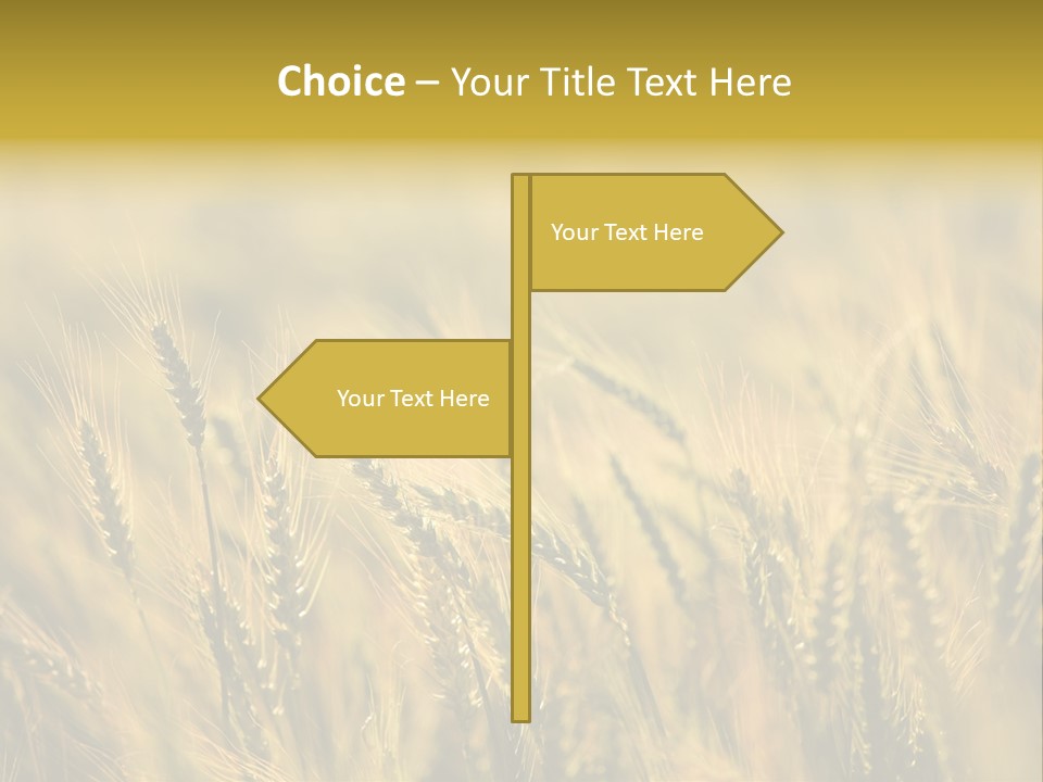 Farm Harvest Breads PowerPoint Template