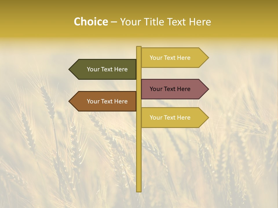 Farm Harvest Breads PowerPoint Template