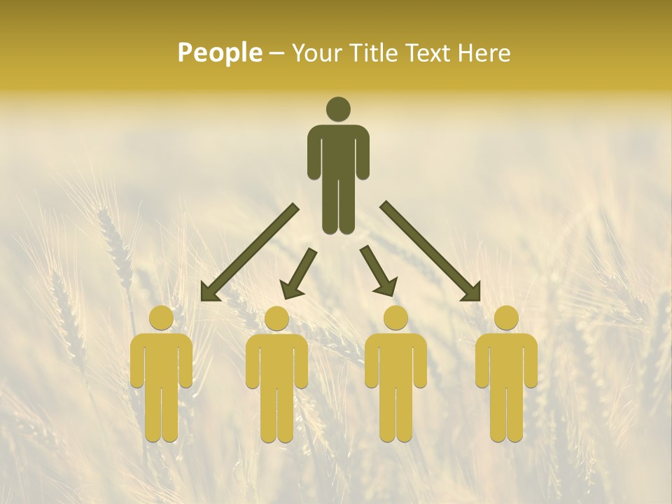 Farm Harvest Breads PowerPoint Template