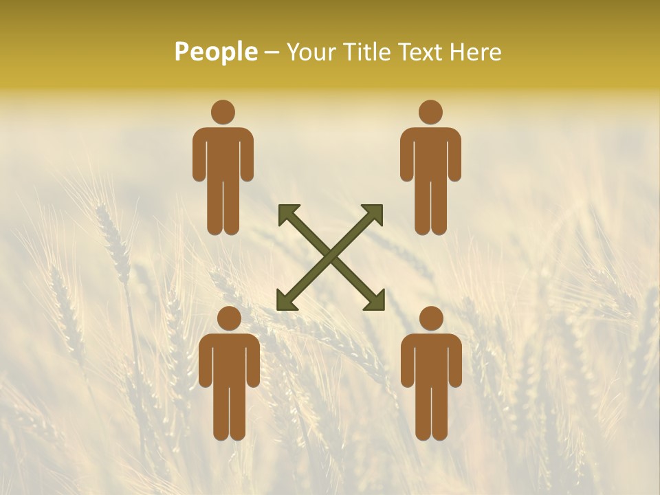 Farm Harvest Breads PowerPoint Template