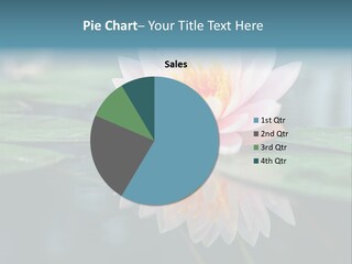 Relax Flower Single PowerPoint Template