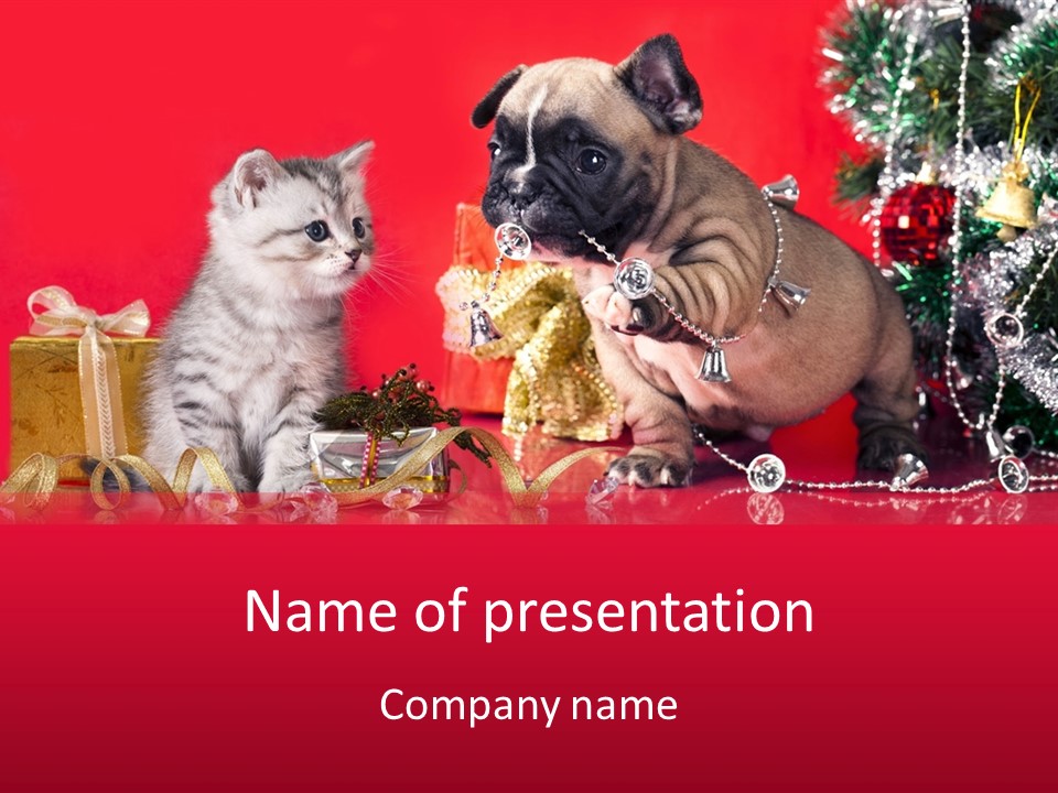 Dog Kitten And Puppy Backlight PowerPoint Template