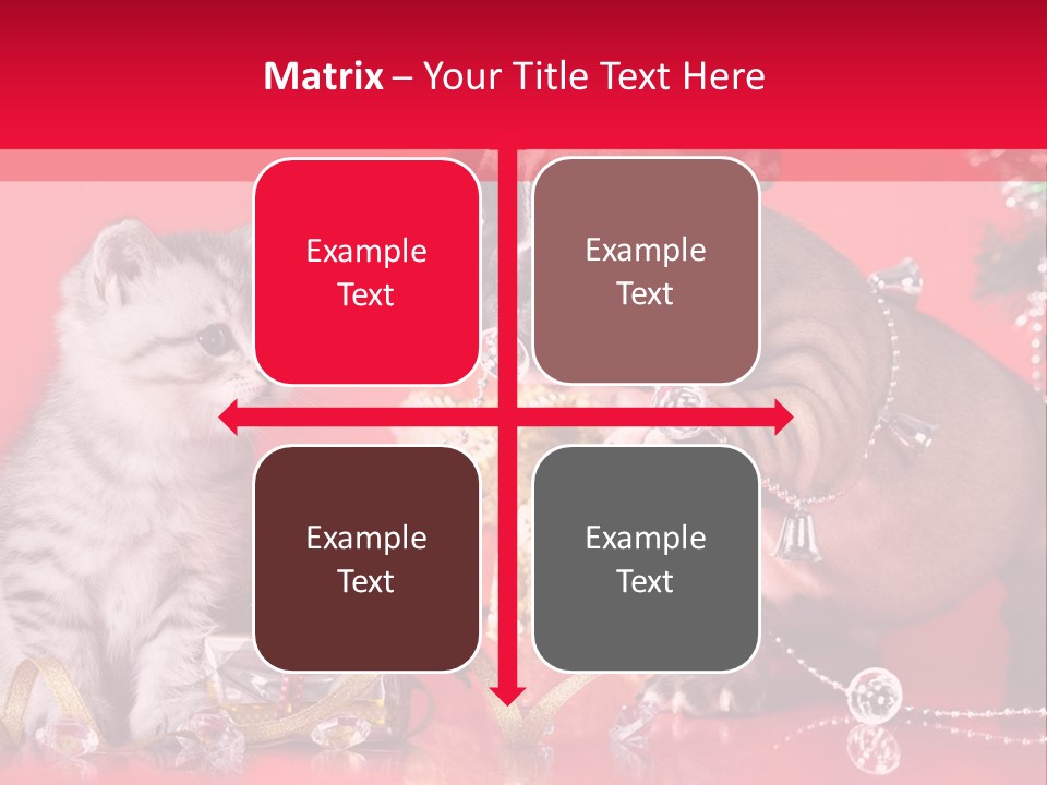 Dog Kitten And Puppy Backlight PowerPoint Template