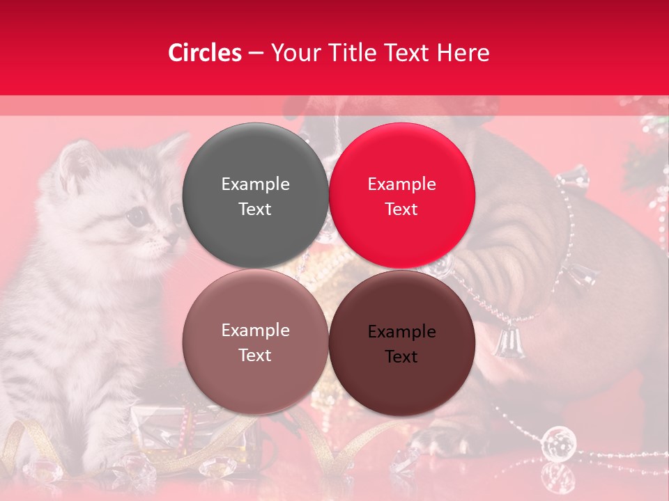 Dog Kitten And Puppy Backlight PowerPoint Template