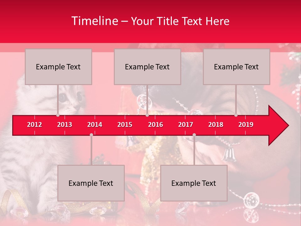 Dog Kitten And Puppy Backlight PowerPoint Template