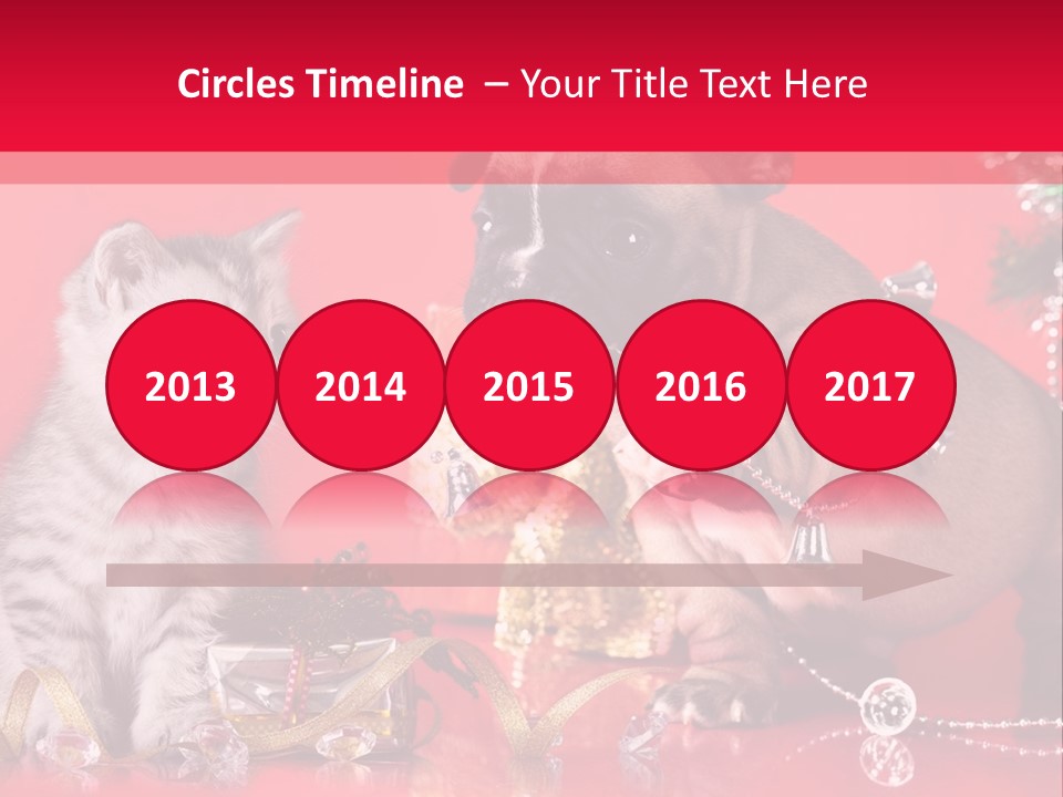 Dog Kitten And Puppy Backlight PowerPoint Template