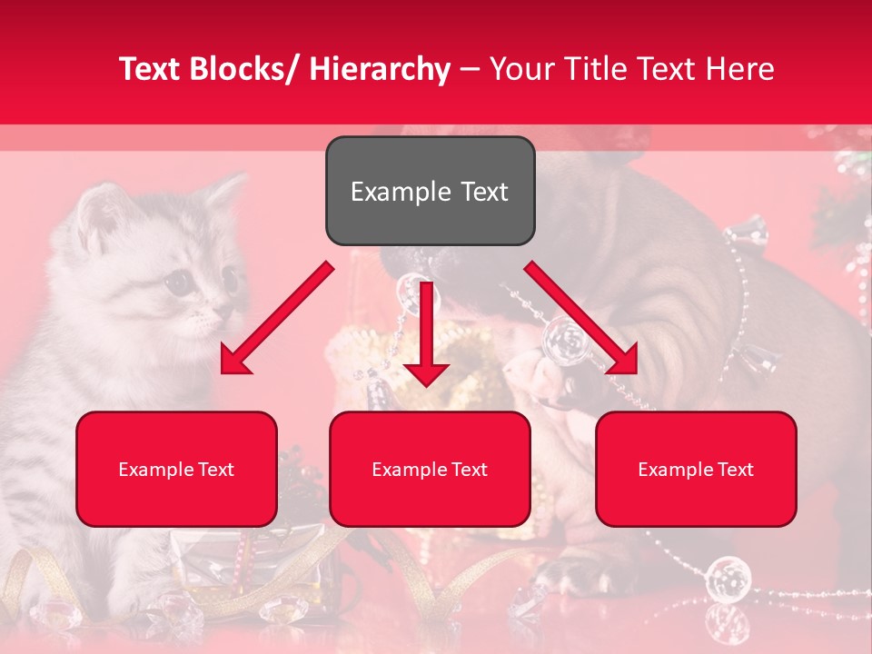 Dog Kitten And Puppy Backlight PowerPoint Template