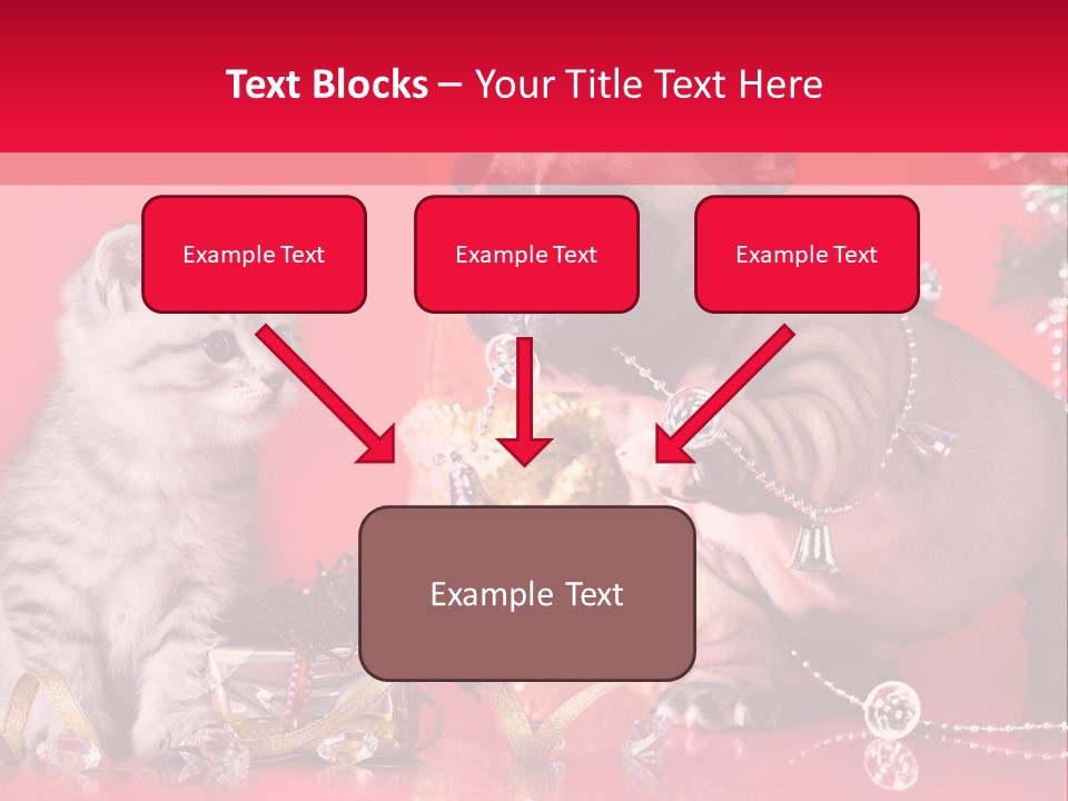 Dog Kitten And Puppy Backlight PowerPoint Template