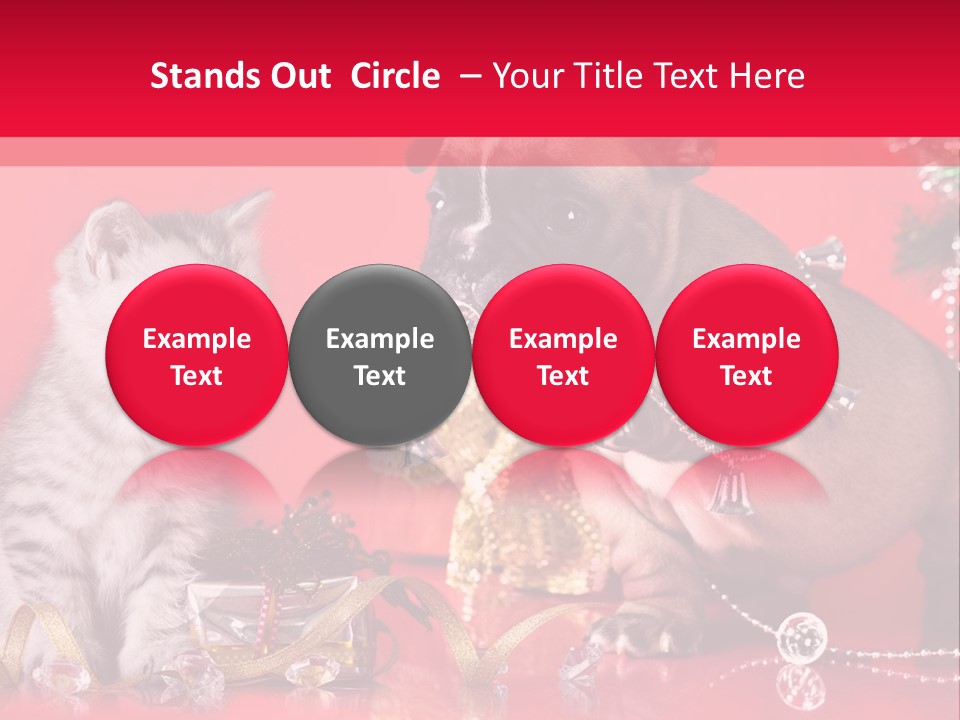 Dog Kitten And Puppy Backlight PowerPoint Template