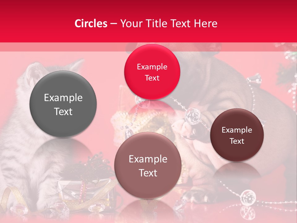 Dog Kitten And Puppy Backlight PowerPoint Template