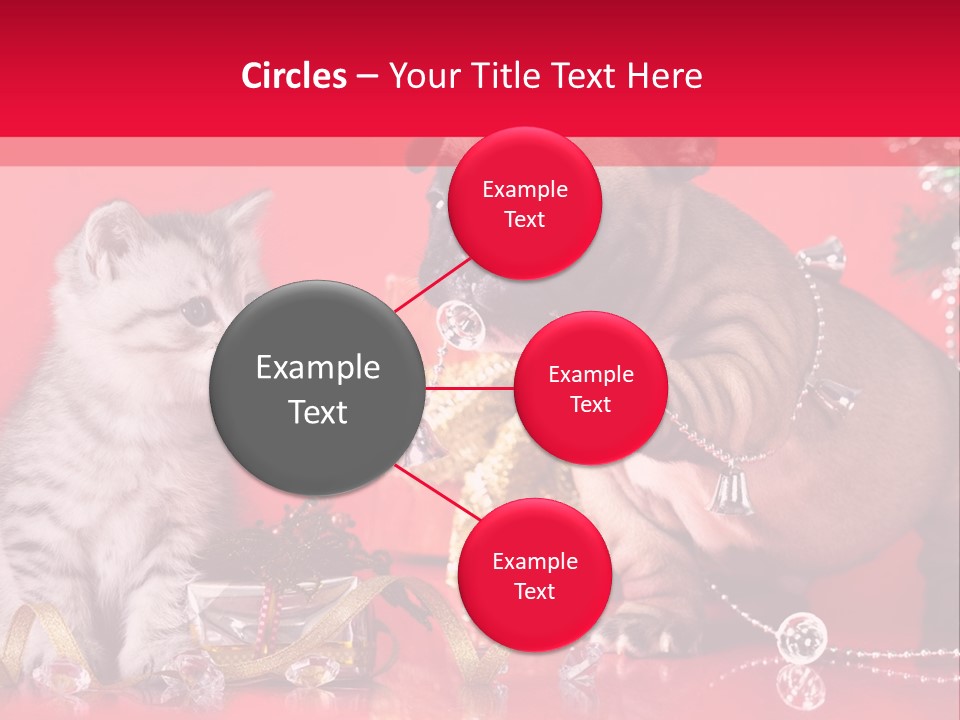 Dog Kitten And Puppy Backlight PowerPoint Template