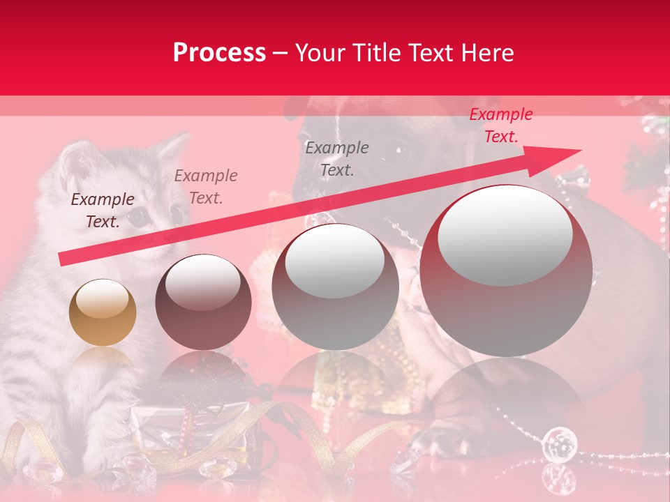 Dog Kitten And Puppy Backlight PowerPoint Template