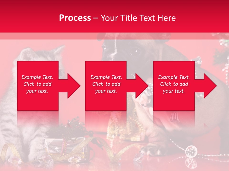 Dog Kitten And Puppy Backlight PowerPoint Template