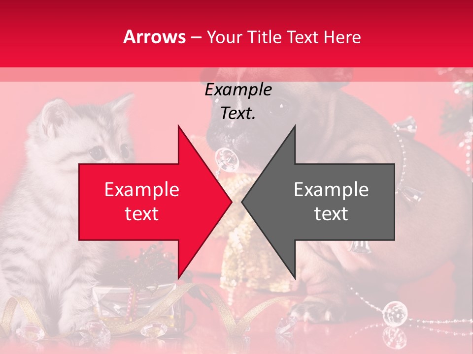 Dog Kitten And Puppy Backlight PowerPoint Template