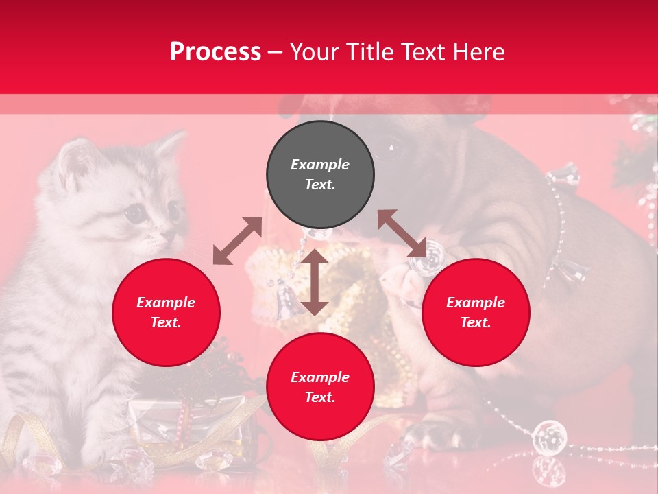 Dog Kitten And Puppy Backlight PowerPoint Template