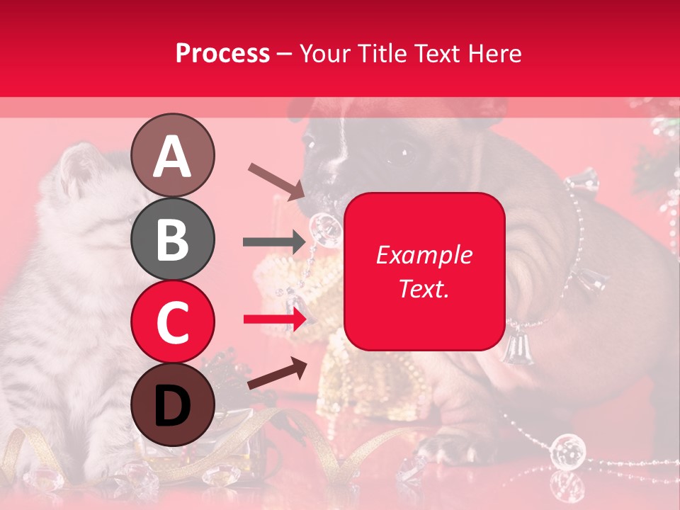 Dog Kitten And Puppy Backlight PowerPoint Template