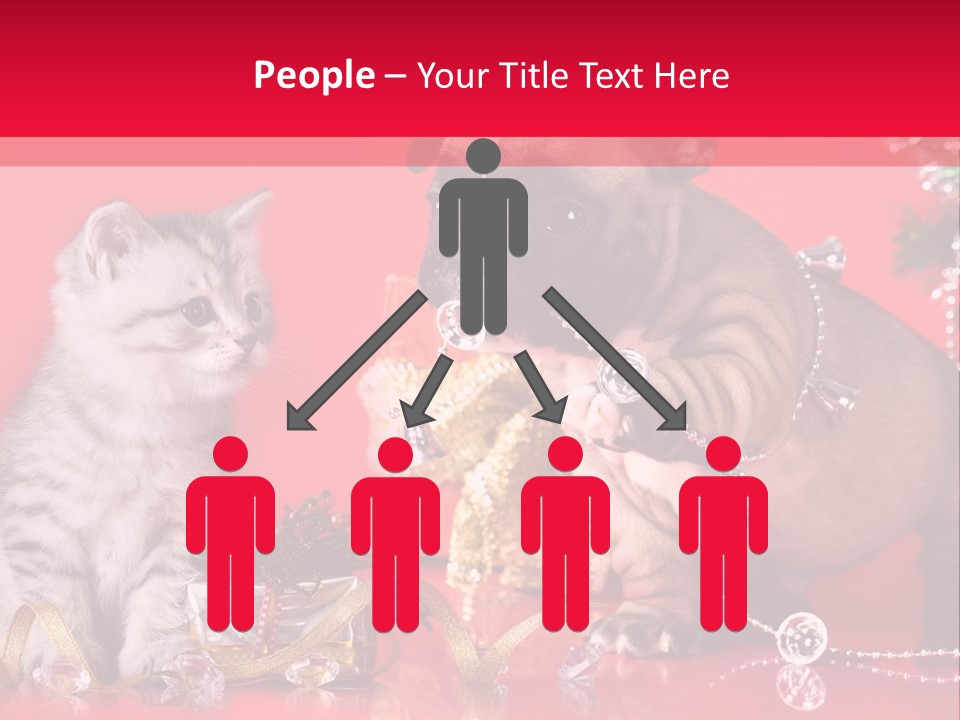 Dog Kitten And Puppy Backlight PowerPoint Template