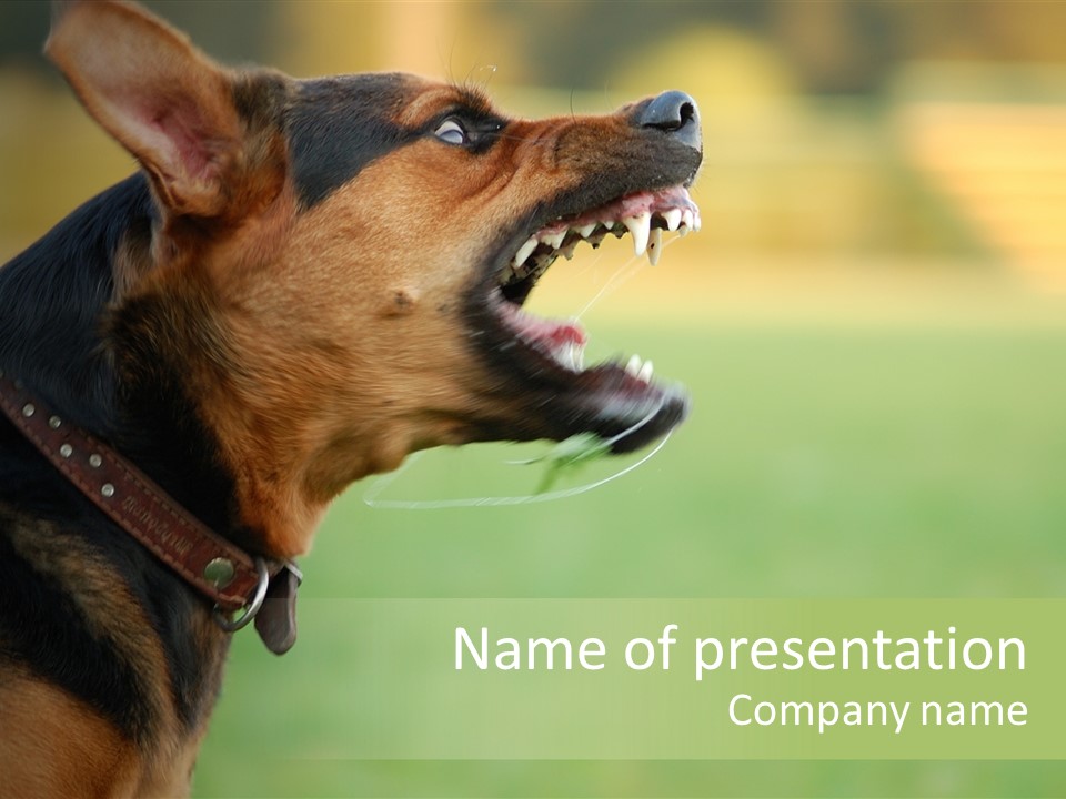 Angry Ear Savage PowerPoint Template