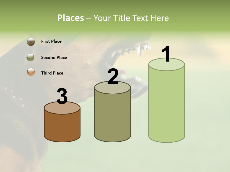 Angry Ear Savage PowerPoint Template