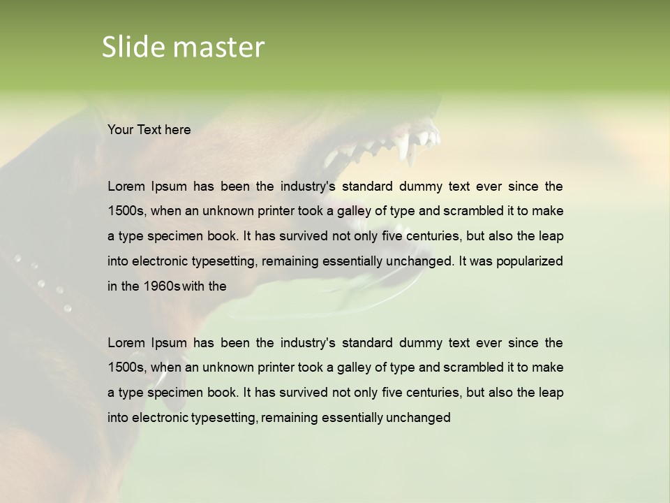 Angry Ear Savage PowerPoint Template